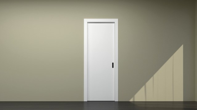 Раздвижная одностворчатая дверь в пенал