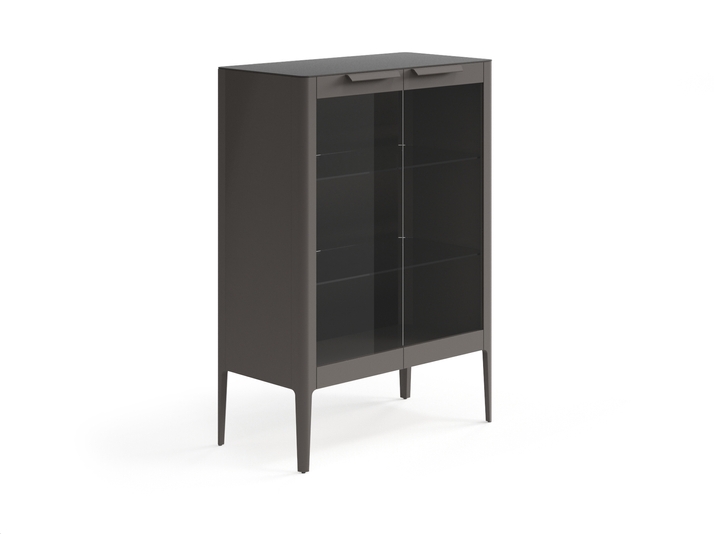 Мебель Витрина Пьега. Цвет Матовый антрацит. Материал Гладкая эмаль. Коллекция Витрина Пьега. Картинка.